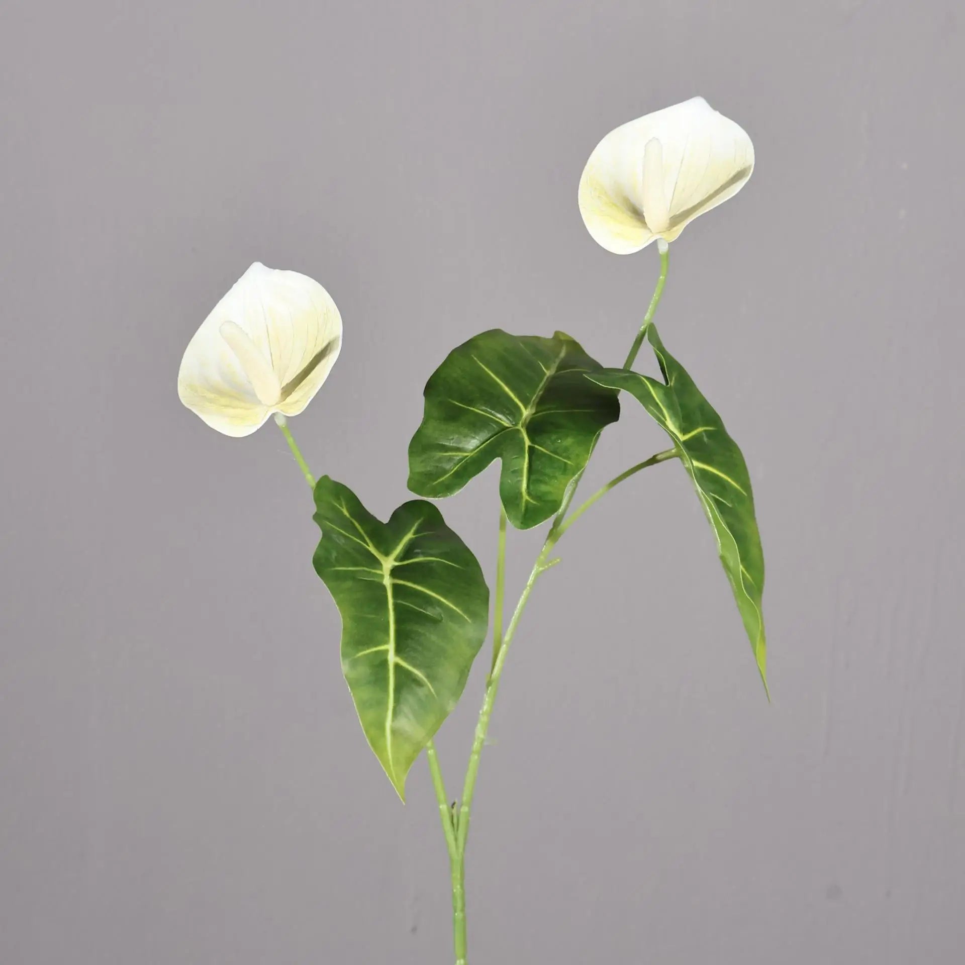 Artificial Anthurium Peace Lily Stem