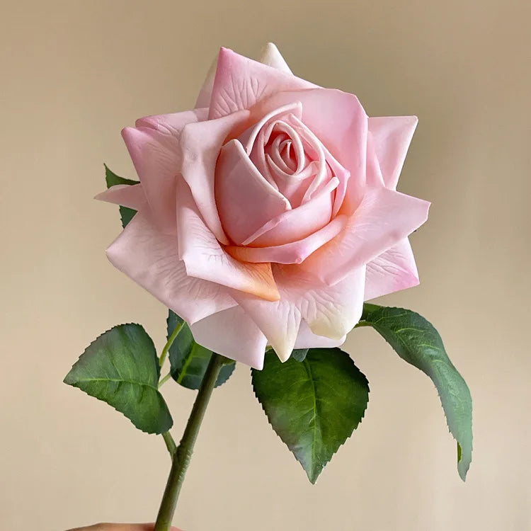 5 Real Touch Roses