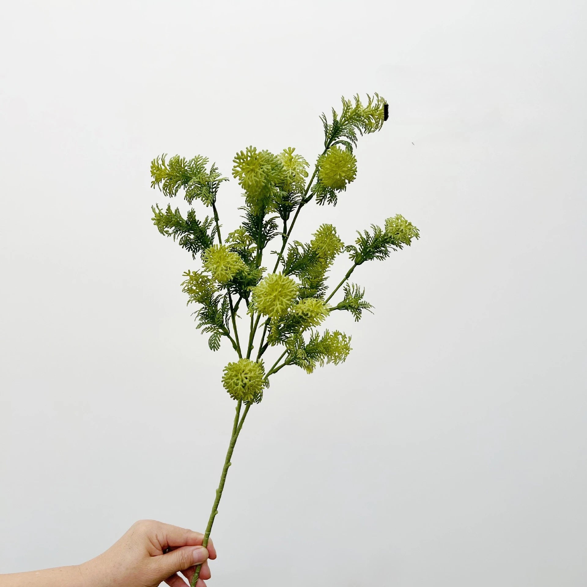 Lion Tail Grass Wedding Decor